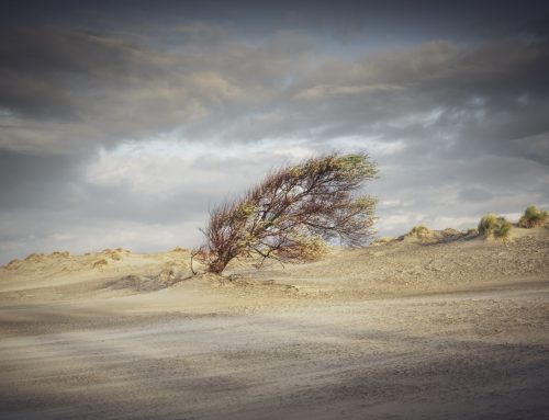 How to make your business more resilient when costs rise and competition intensifies